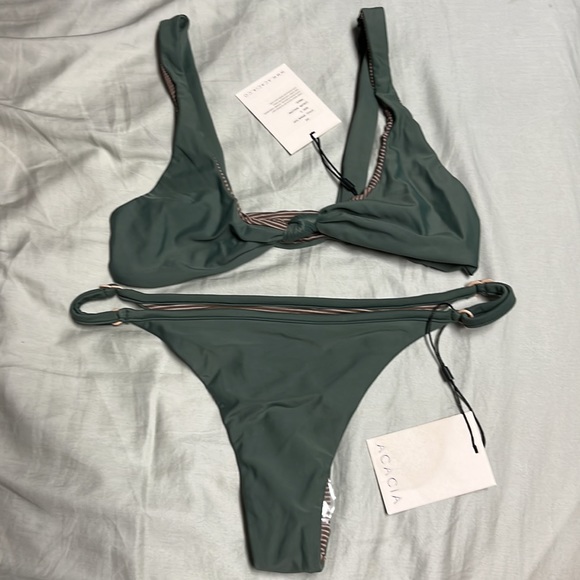 Acacia bikini - Picture 9 of 10